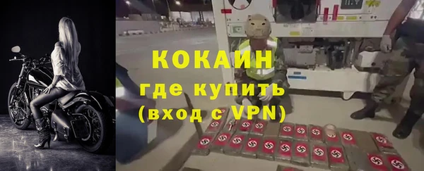 кокс Алексин